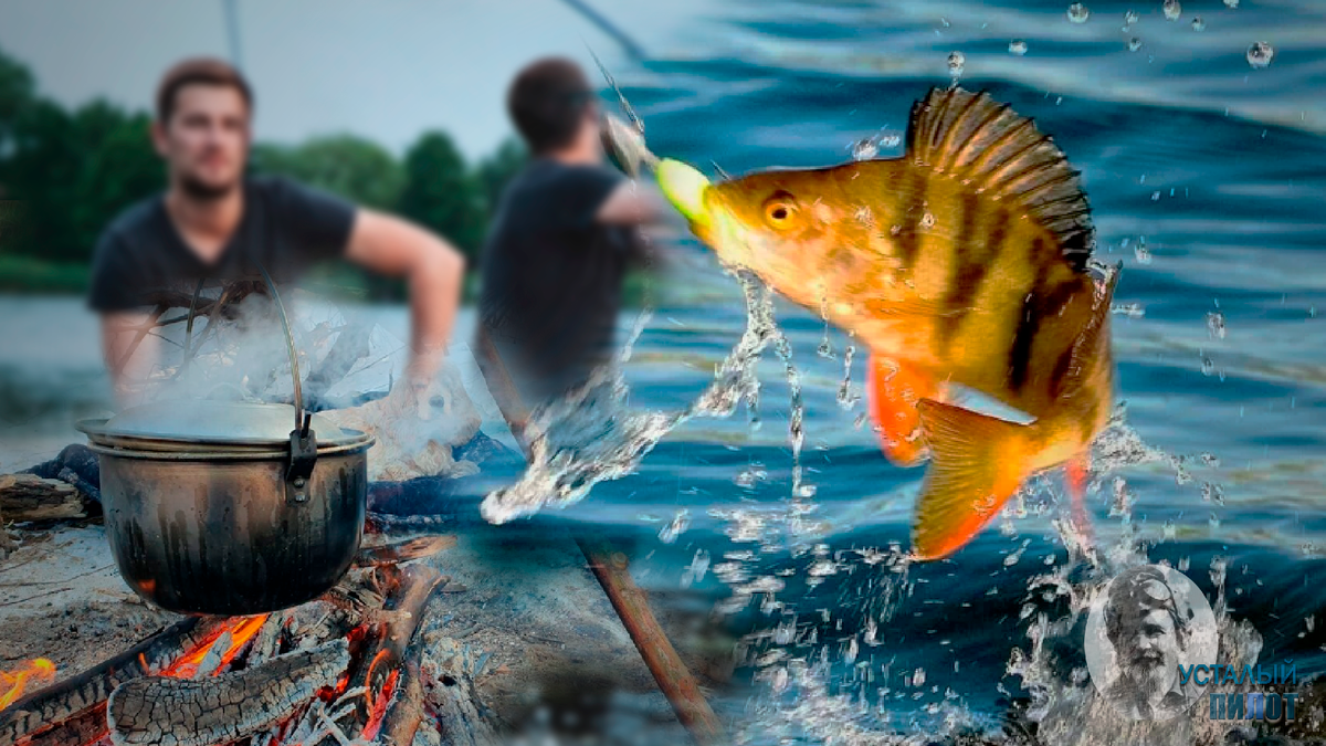 Рыба в реке действительно оказалась и на вечерней зорьке даже очень активно клевала. Так что пикник удался на славу, правда не обошлось и без происшествий...