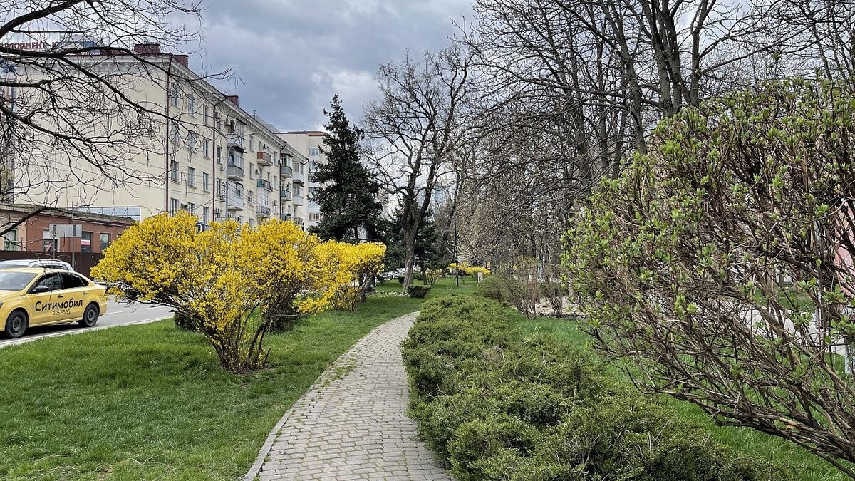 В Краснодаре продолжается голосование за благоустройство зелёных зон |  Краснодар. Новости | Дзен