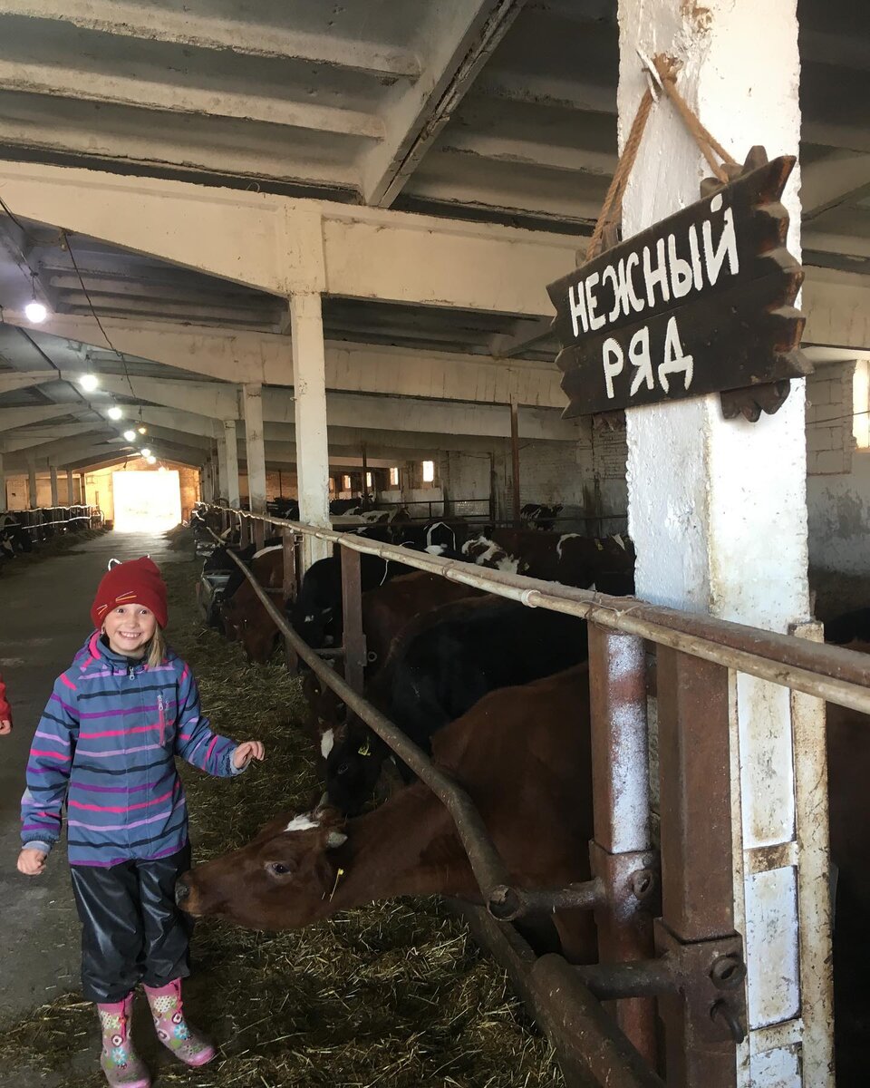 Выходные с детьми. Ферма Веселая корова Подмосковье | Многодетные  приключения из Подмосковья | Дзен