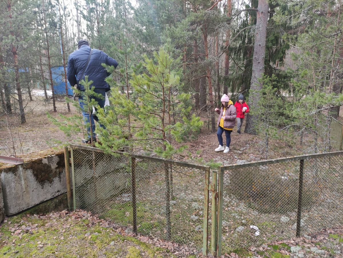 Экотропа Берег Копорской губы – несомненно одна из самых интересных и  необычных троп Ленобласти | Путешествия: большие и маленькие | Дзен