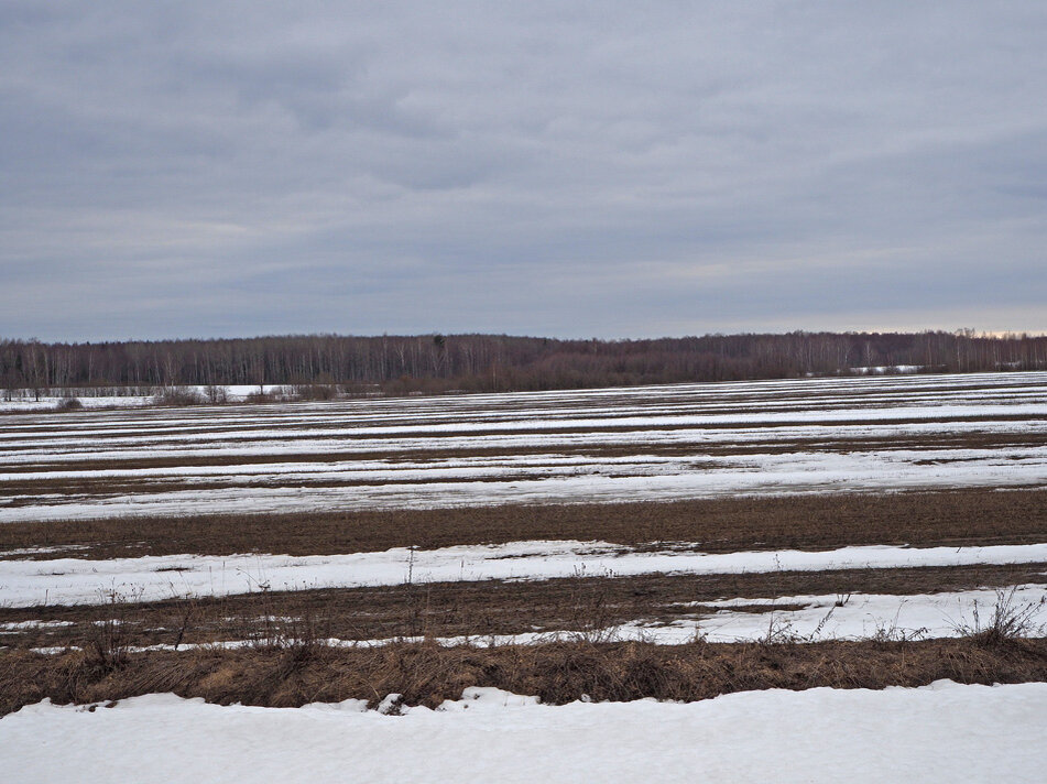 Поле в полоску.