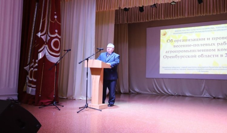    С большим отрывом лидируют семена отечественных гибридов кукурузы в Оренбургской области к посевной 2024