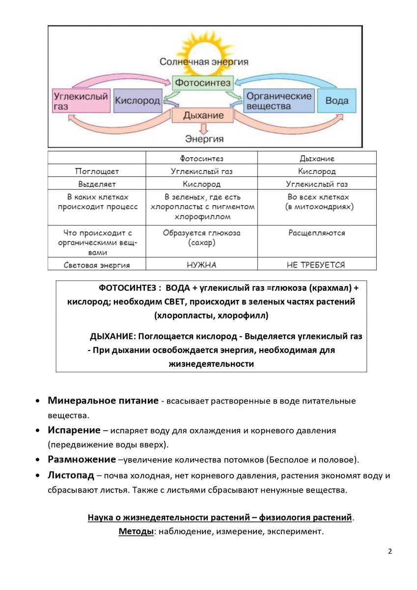 ВПР. Биология 6 класс. Материалы для подготовки (шпаргалка) | Школьные годы  с родителями | Дзен