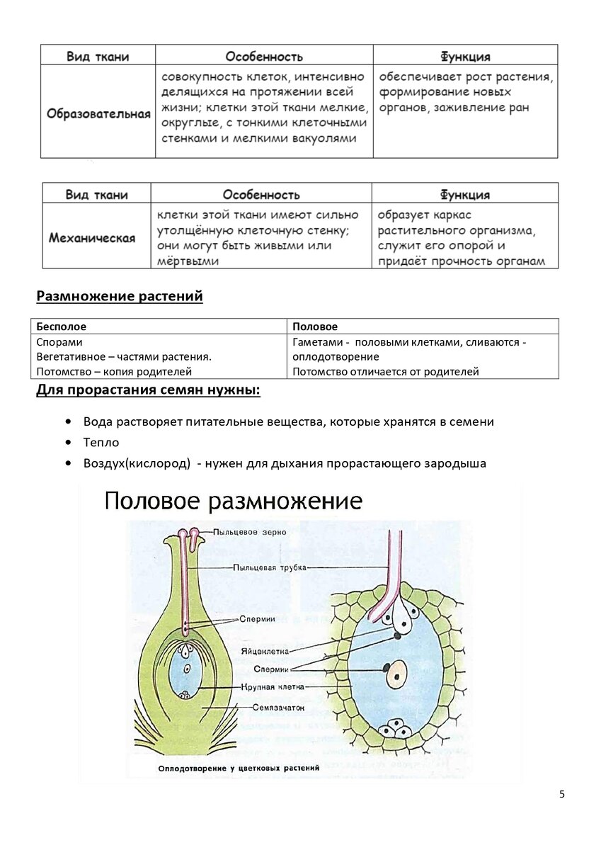 ВПР. Биология 6 класс. Материалы для подготовки (шпаргалка) | Школьные годы  с родителями | Дзен