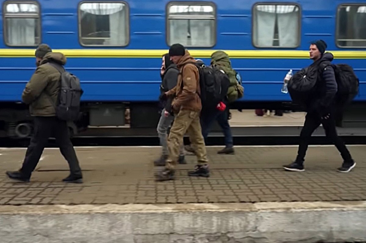    Интернациональный легион Зеленского едет воевать на Украину.