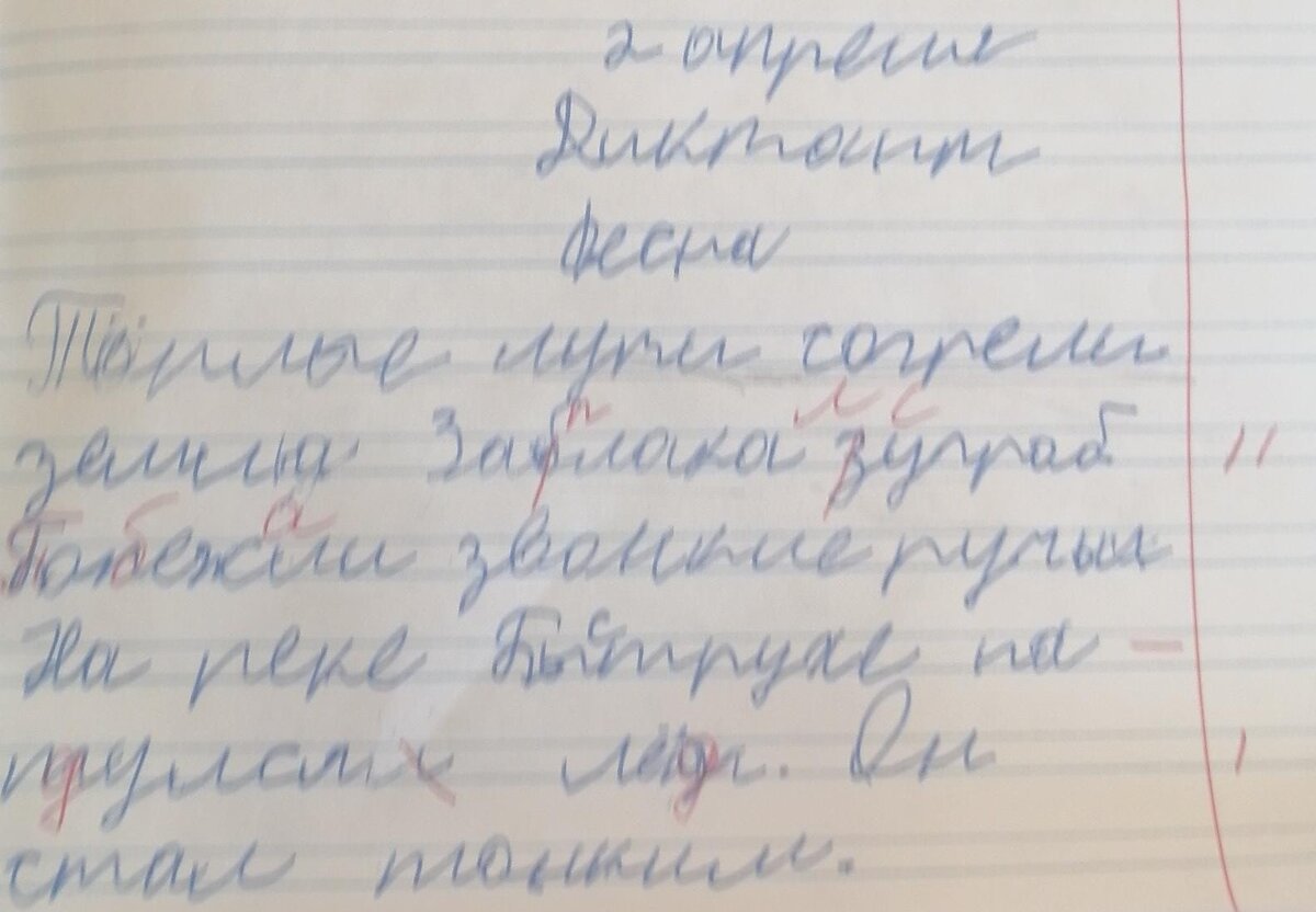 Диктант моего сына. Извиняюсь за качество. Так прислал учитель.