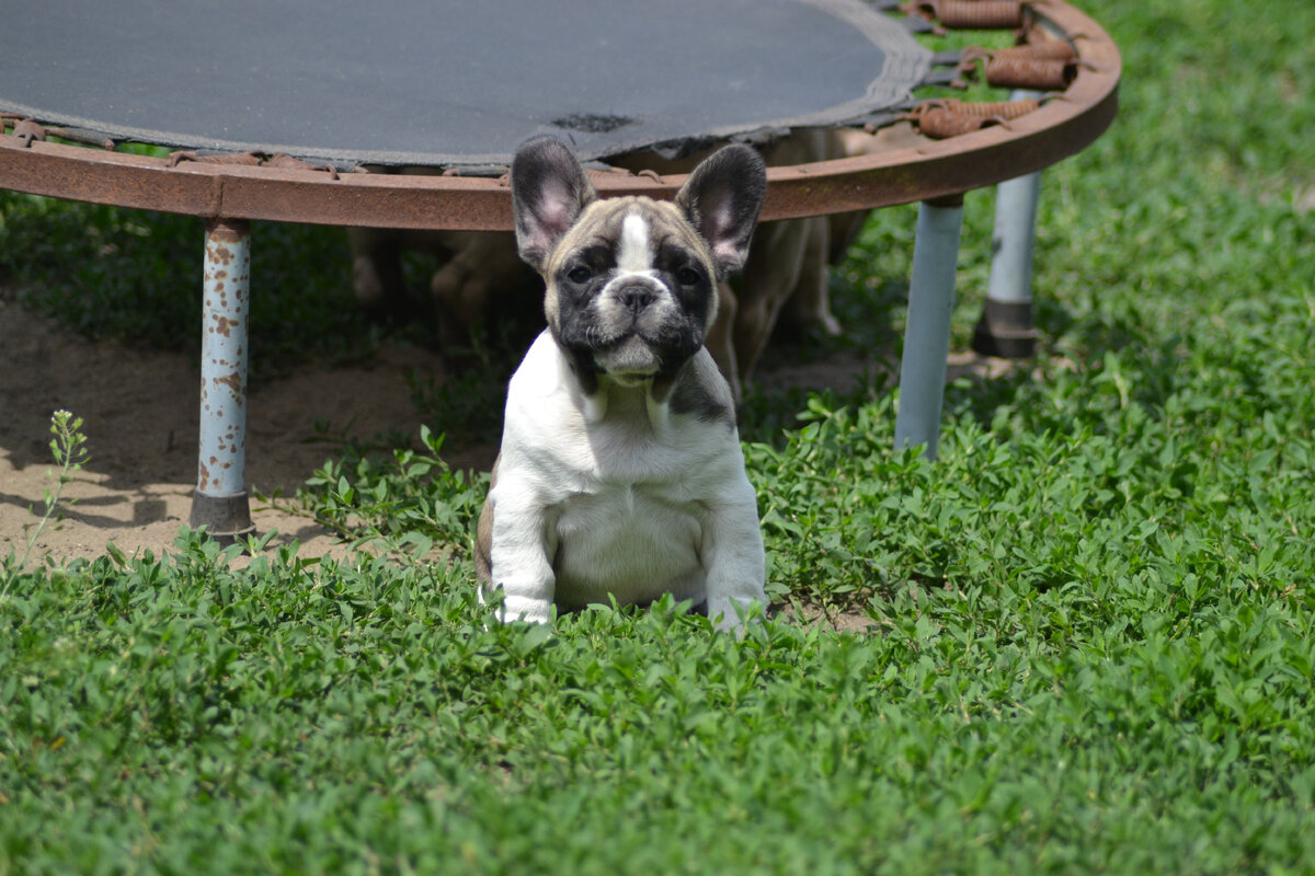 скучаю по ним