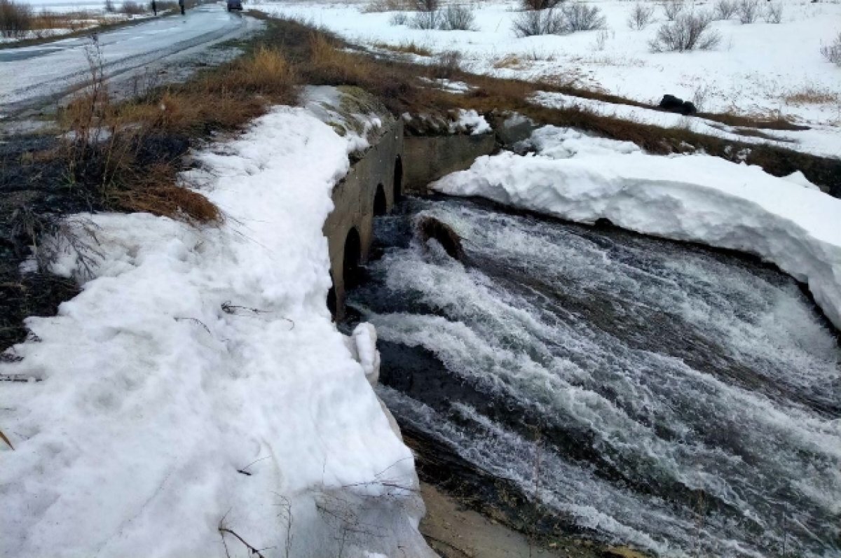    Бесхозным плотинам на реках Мелекесского района требуется ремонт