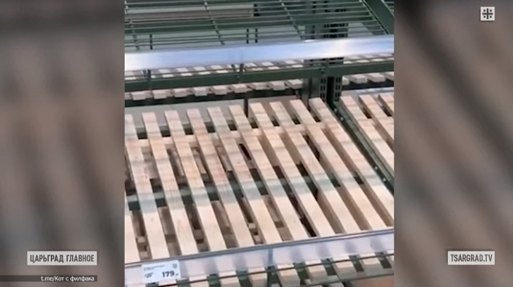    Очевидцы показывают полки в одном из магазинов, Белгород. Фото: Царьград