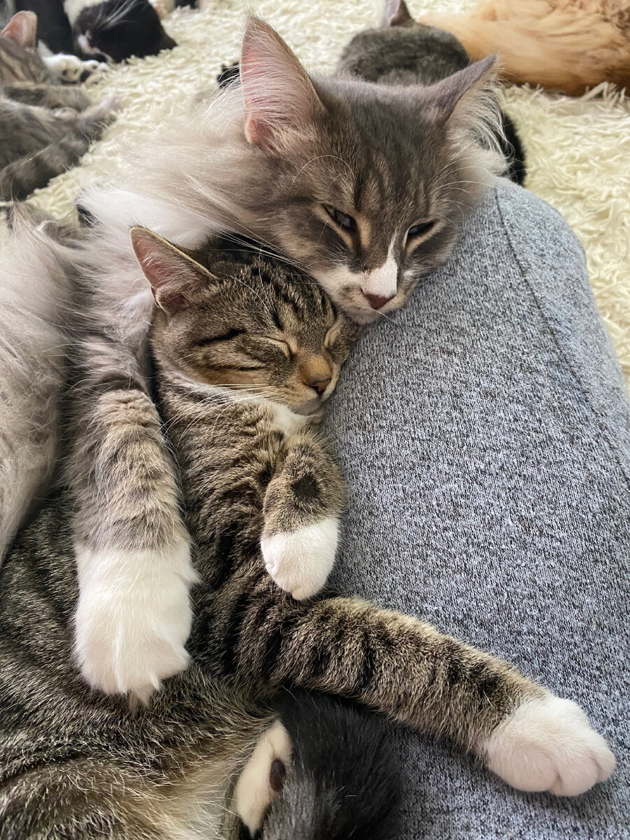 Полежи с нами)))не ходи никуда)))