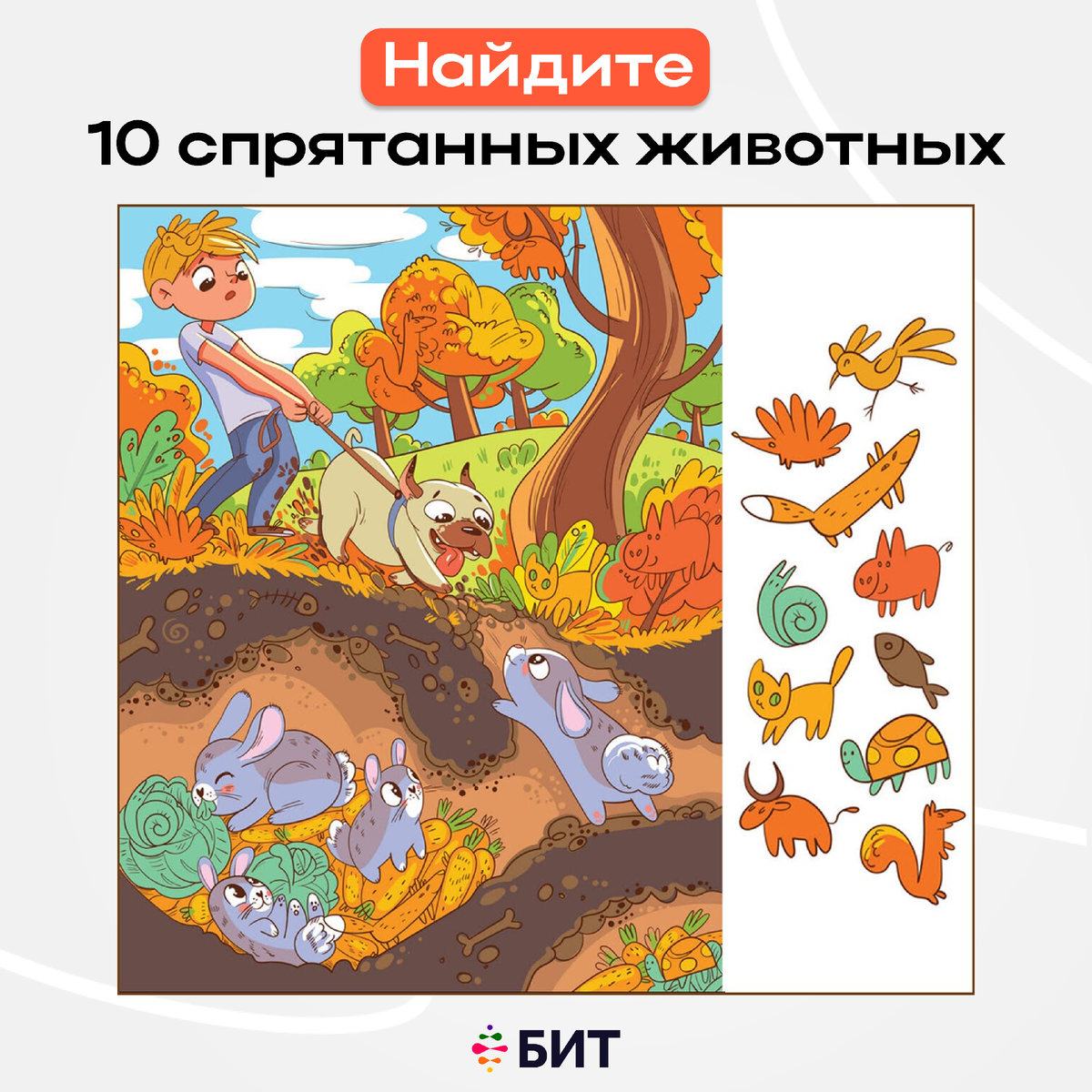 Найди всех животных на картинке 165
