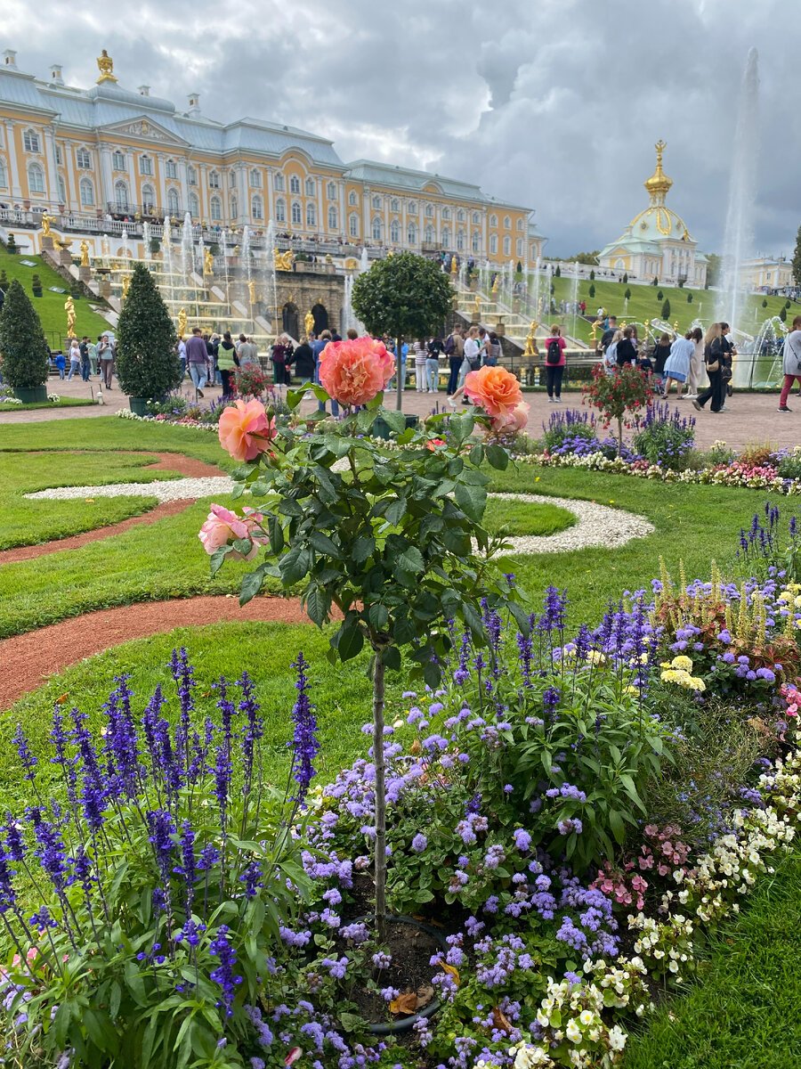 Лучшее время для Петергофа | Марина П. | Дзен