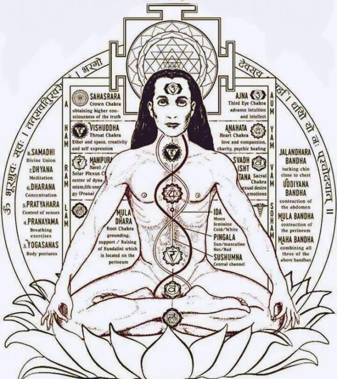 Бабаджи передал знания о Крия Йоге Лахири Махасае. divinecarefoundation.com 