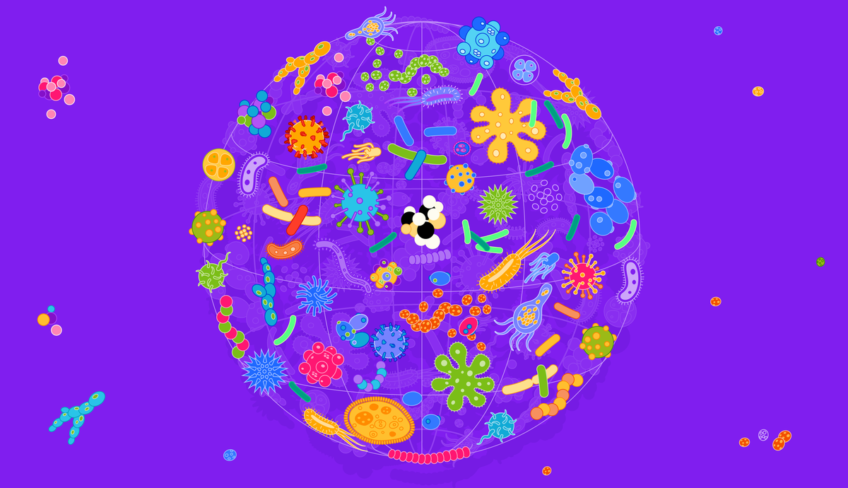 Источник: блог Атласа