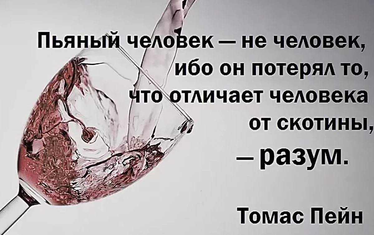 Когда она проходит рядом я теряю разум. Высказывания про алкоголь. Афоризмы про алкоголь. Цитаты про алкоголь. Высказывания о выпивке.