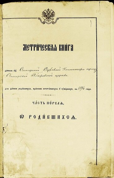 Метрическая книга 1894 г.