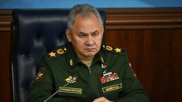    © РИА Новости . Сергей Гунеев