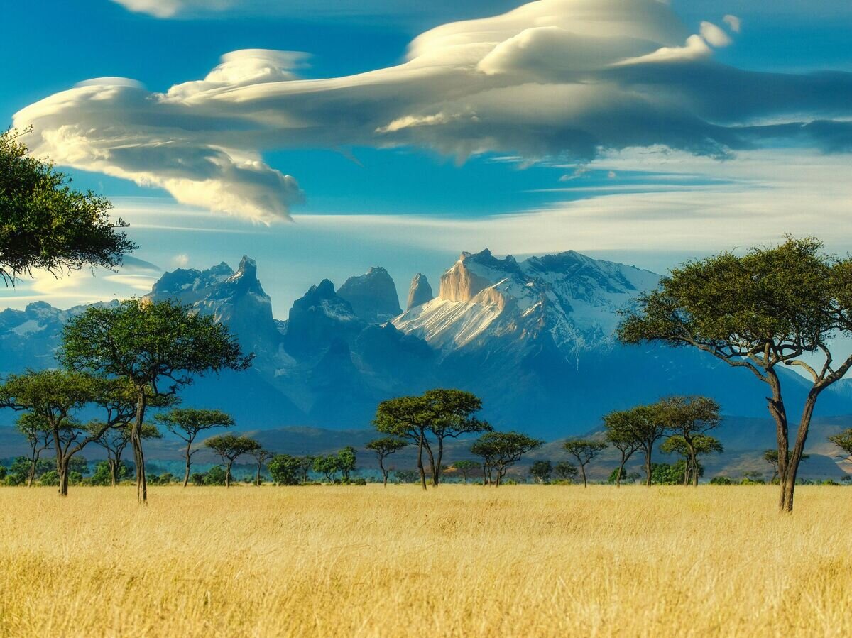    Кения© Фото : Unsplash/Thomas Bennie