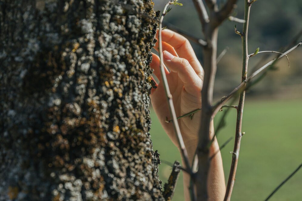 Фото: freepik.com