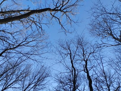 Фотография из личного архива автора