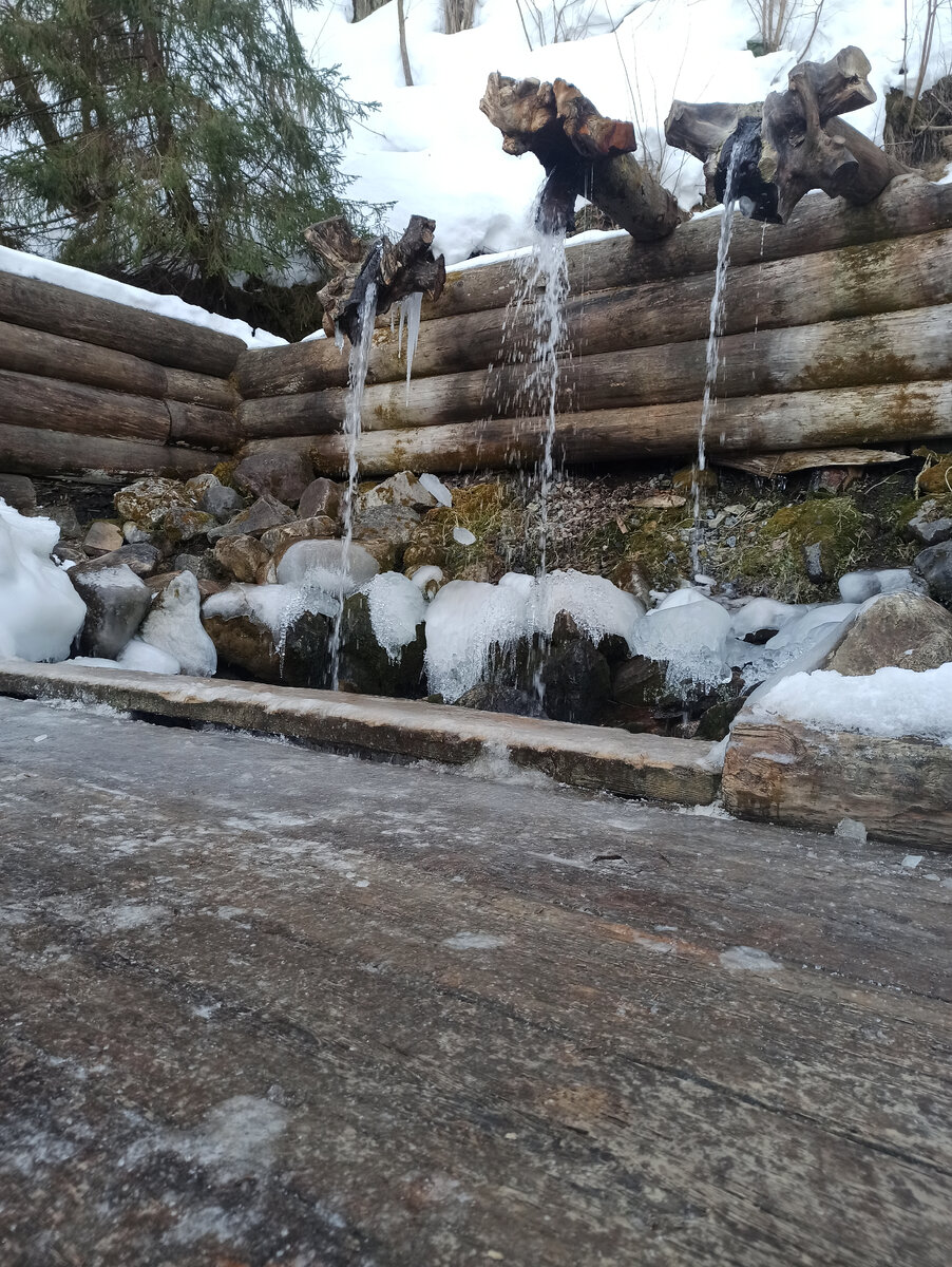 Автор фото: Надежда Савинова