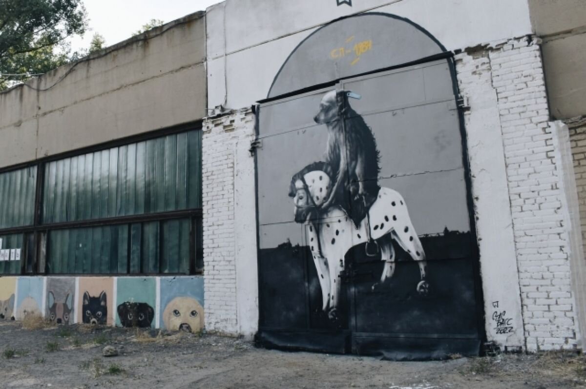 Вот такие теперь ворота в "Собачьем патруле".