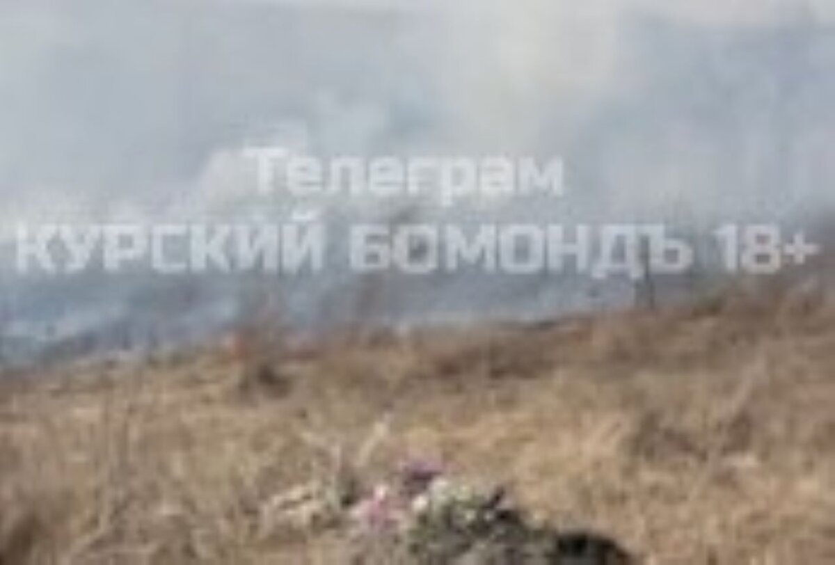    В районе Северного кладбища Курска начался пожар