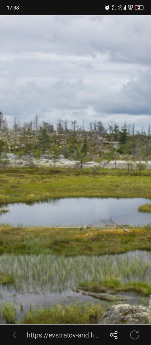 Картинка взять с интернета