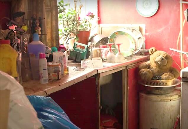 фото из открытых источников