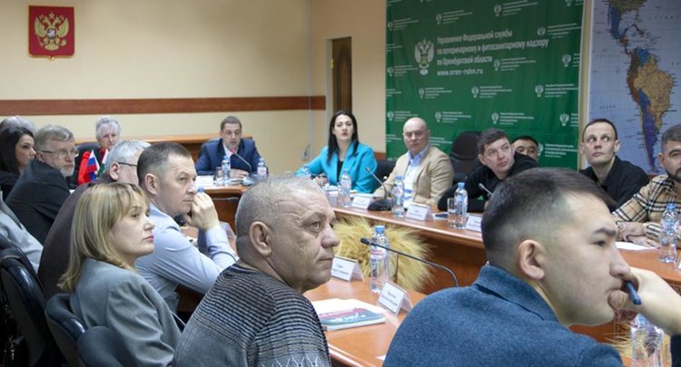    Перспективы экспорта оренбургского зерна через порты Ленинградской области обсудили эксперты