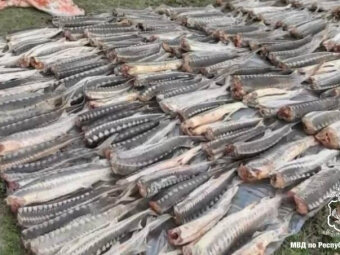 Фото: МВД по РД