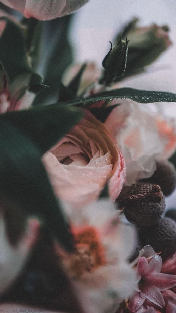 Картинка из Pinterest