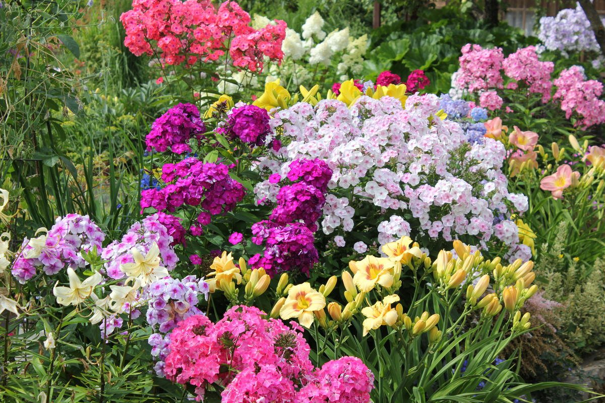 Фото из Интернета 