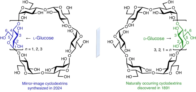   Yong Wu et al. / Nature Synthesis, 2024