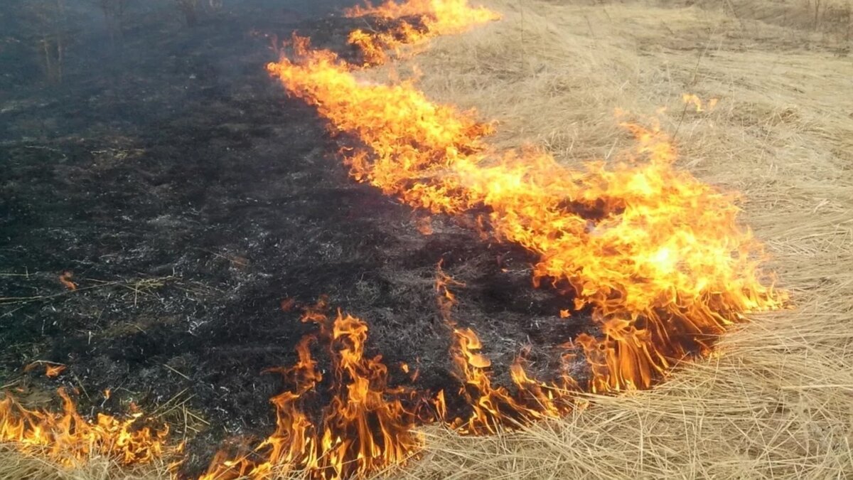 В СССР это было нормально, сейчас стыдно и даже незаконно. А вы так  делаете? | Миклухо Макфлай исторический клуб | Дзен