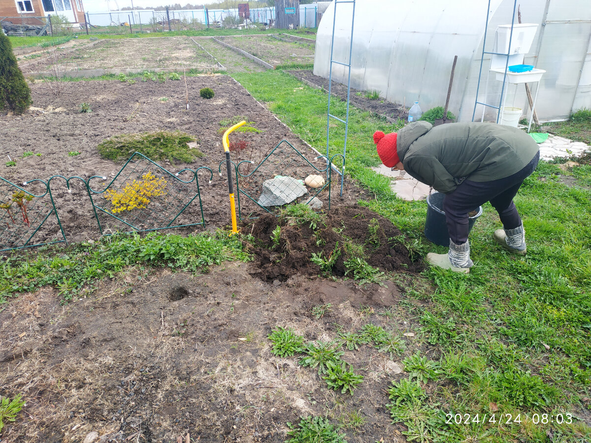 Алёна  расширяет королевство)