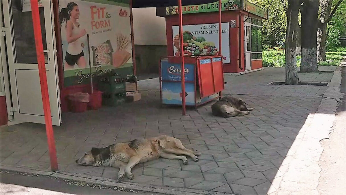 Фото автора