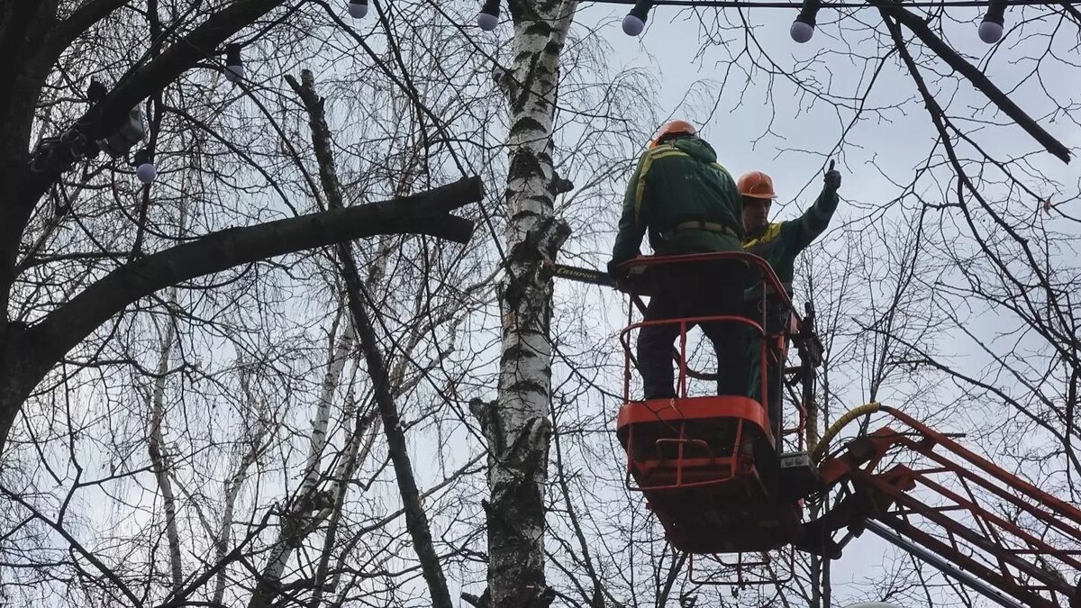     Жители дома №13 по улице Братьев Кадомцевых в Уфе в ужасе из-за спиленных деревьев. Они видят «ад» во дворе, передает портал «ЮТВ».