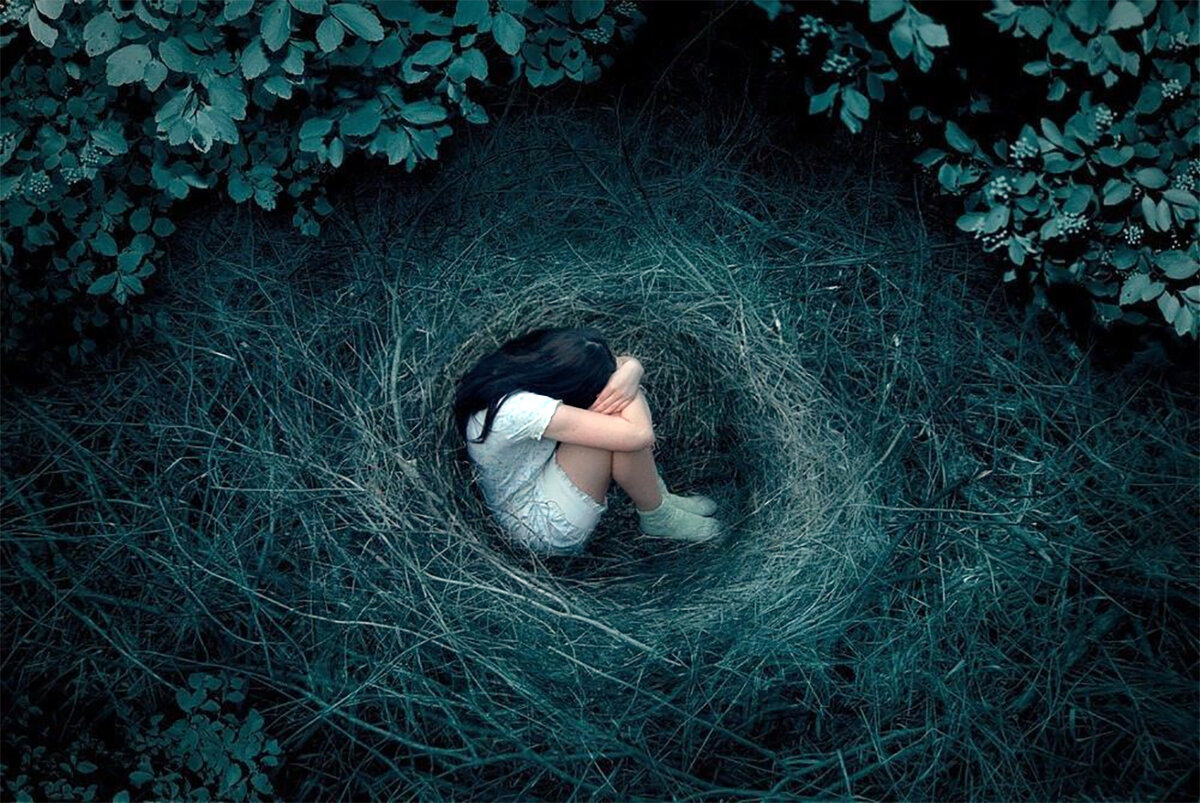 из открытых источников