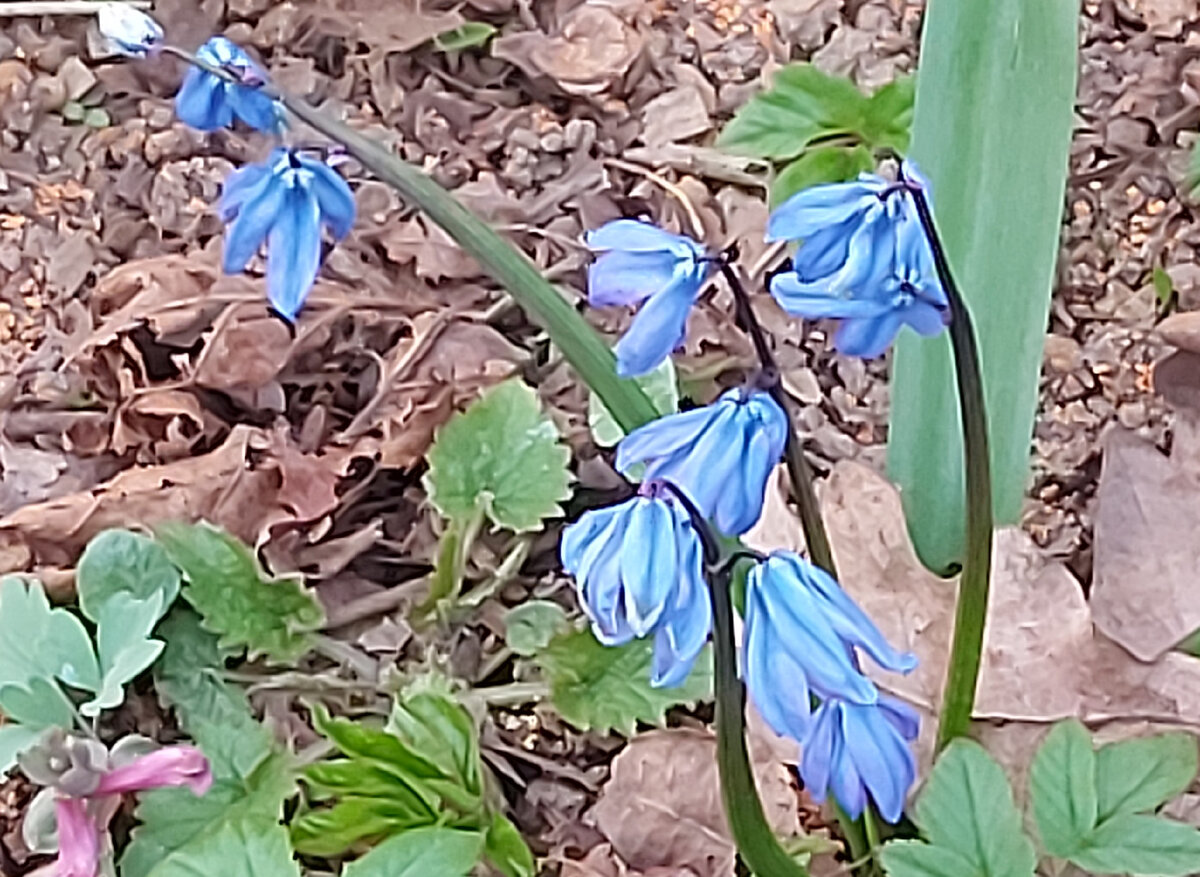 Дождались :)