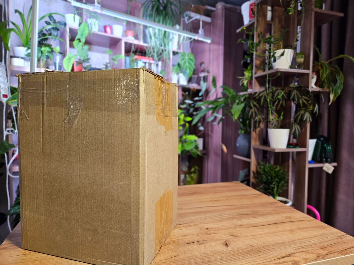 Ну что, приступим к распаковке?