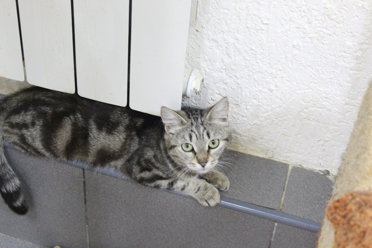 Вита только к нам приехала