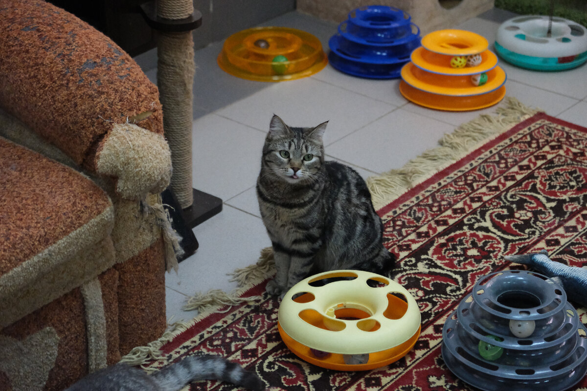 Вита сейчас