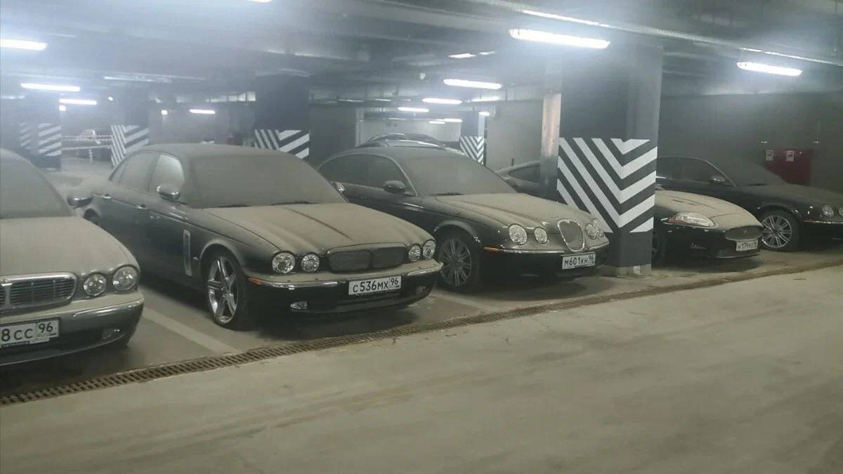 https://avatars.dzeninfra.ru/get-zen_doc/271828/pub_660be822bbc5920c17c316d1_660be829bbc5920c17c31976/scale_1200