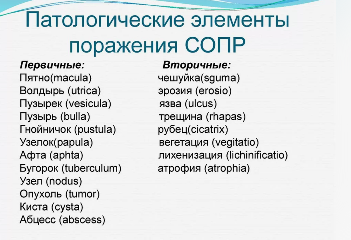 Взято из открытых источников