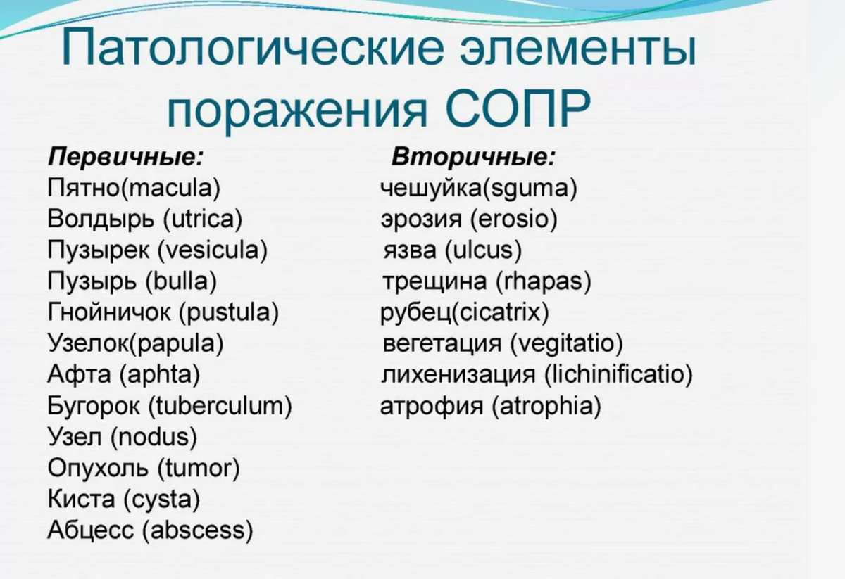 Стоматит - рецидивирующий афтозный. Болезненные язвы размером от 3  миллиметров до 3 сантиметров | Parodoctor | Дзен