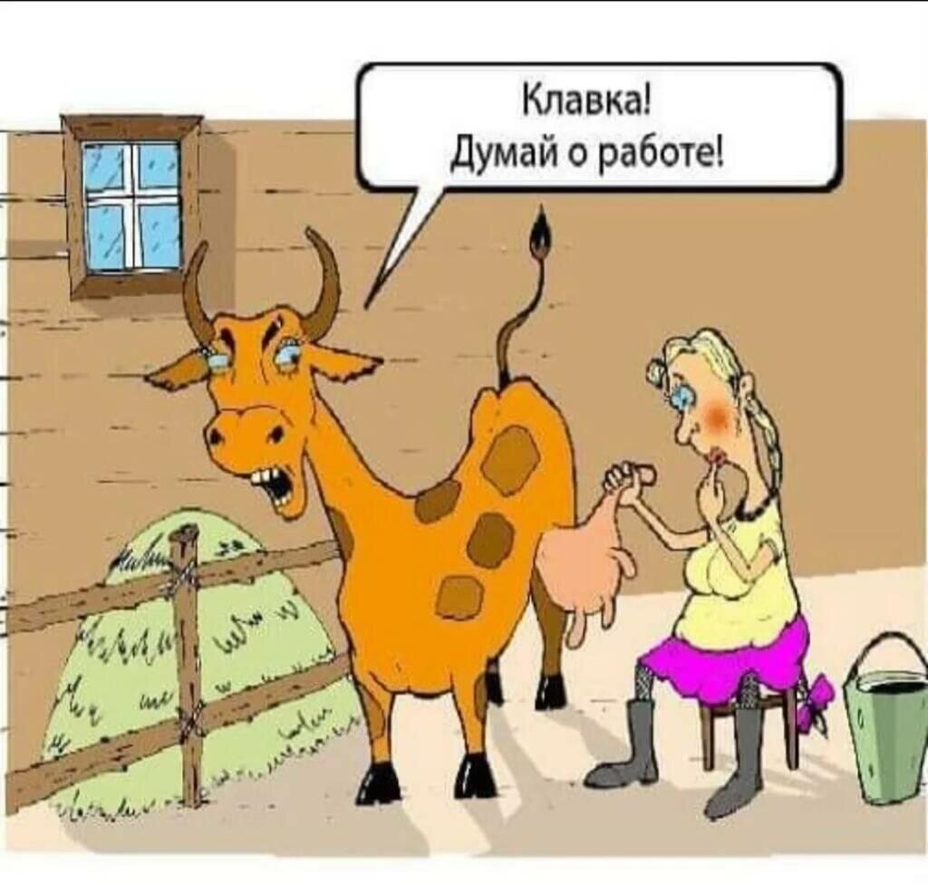 Яндекс картинки