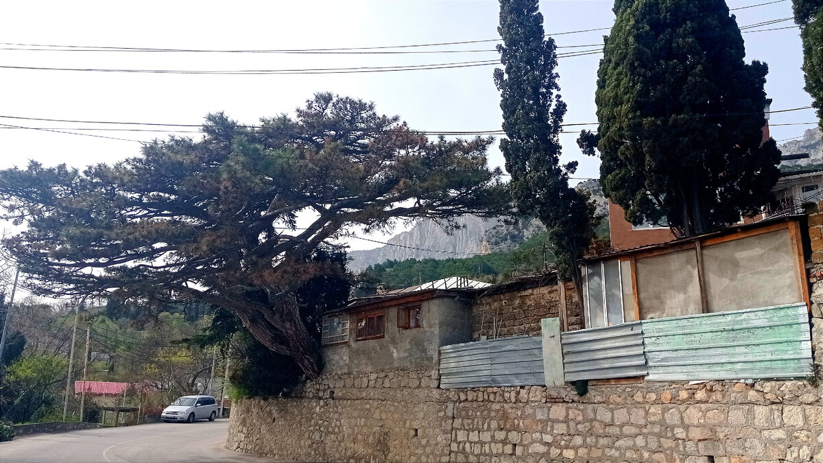 Алупка сегодня