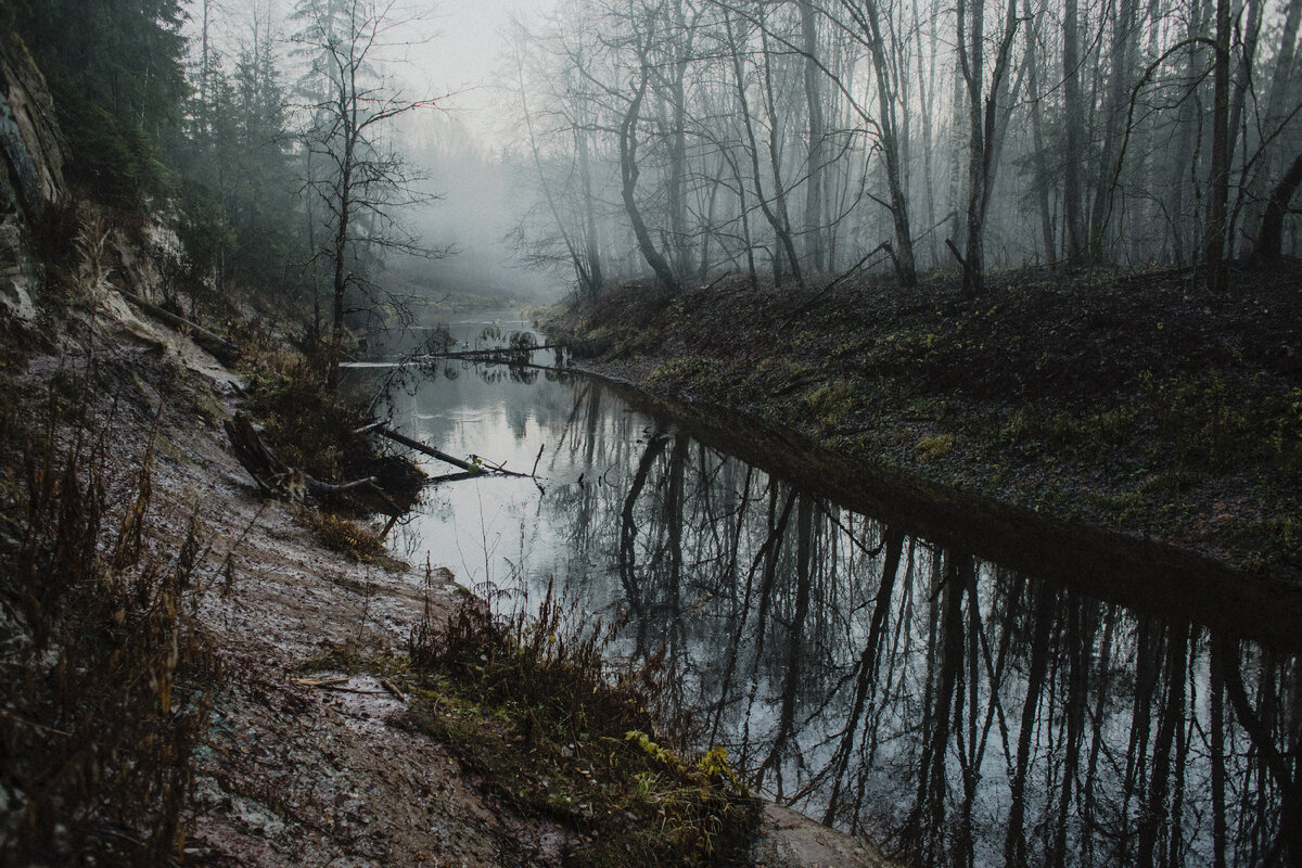 Каньон реки Ящера в тумане.