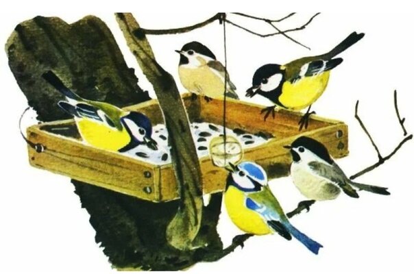 Рассказы о природе / Илл.: Художник В. Федотов